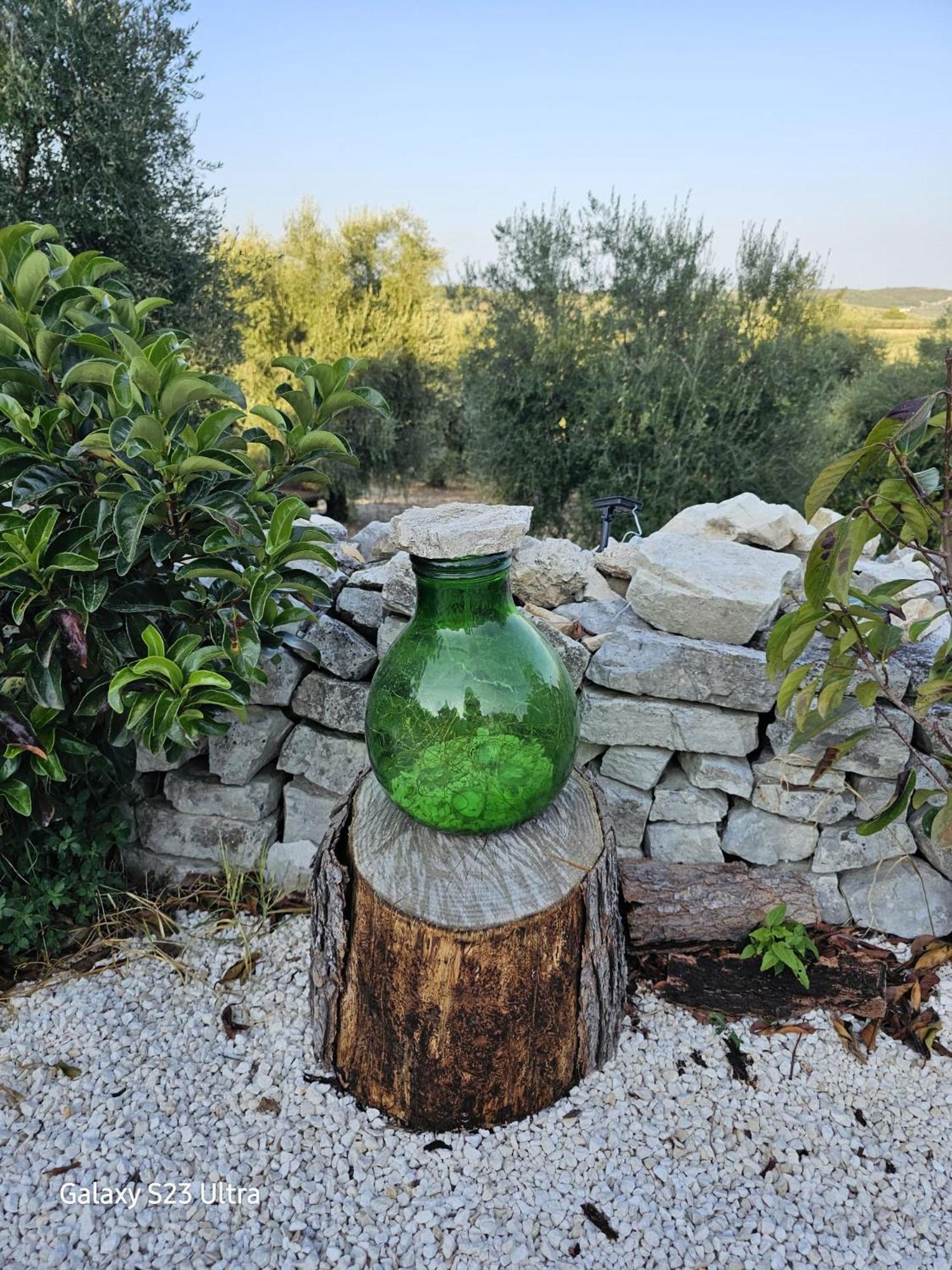Azienda Agricola Gentile - La Casa Degli Ulivi 维耶斯泰 外观 照片