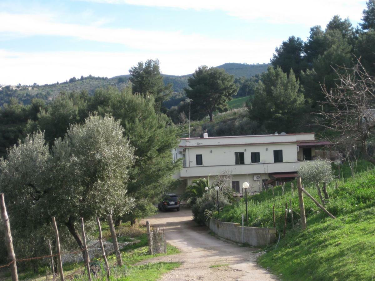 Azienda Agricola Gentile - La Casa Degli Ulivi 维耶斯泰 外观 照片